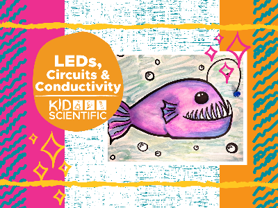 LED's Circuits & Conductivity Weekly Class (5-12 Years)